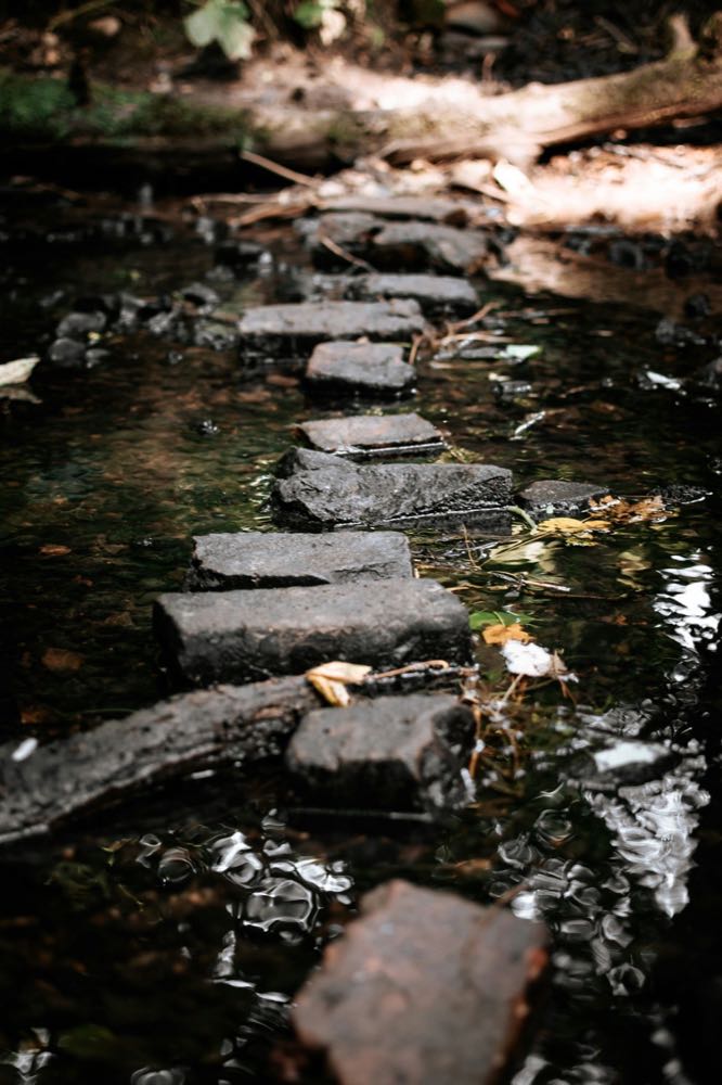The life path number — Pythagoras at his arithmetic.